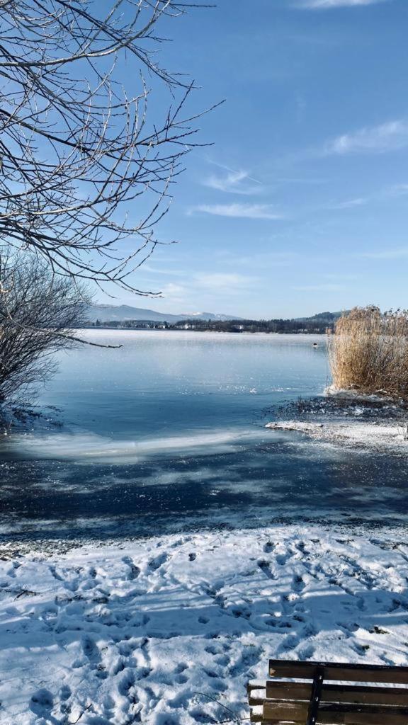 Apartman Lipenka Černá v Pošumaví Exteriör bild