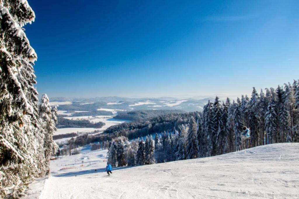 Apartman Lipenka Černá v Pošumaví Exteriör bild